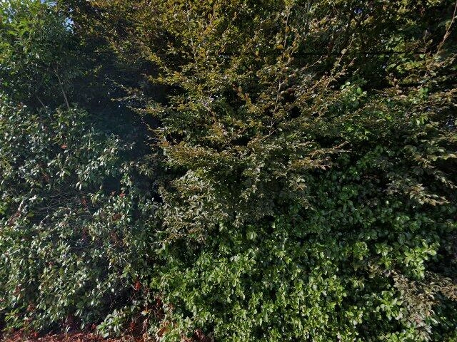 House image located at Seattle, WA 98168