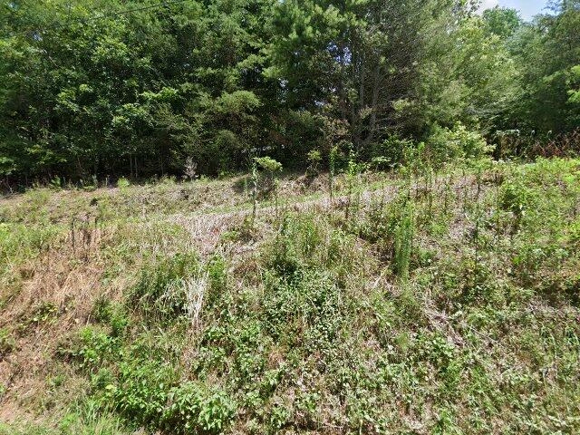 House image located at Ellijay, GA 30536