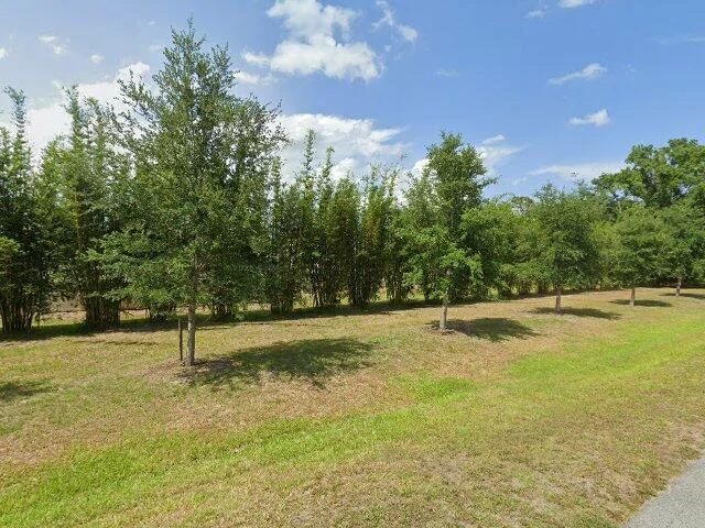 House image located at Kissimmee, FL 34746