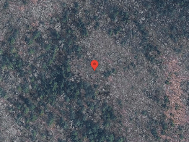 House image located at Wesley Chapel, FL 33545