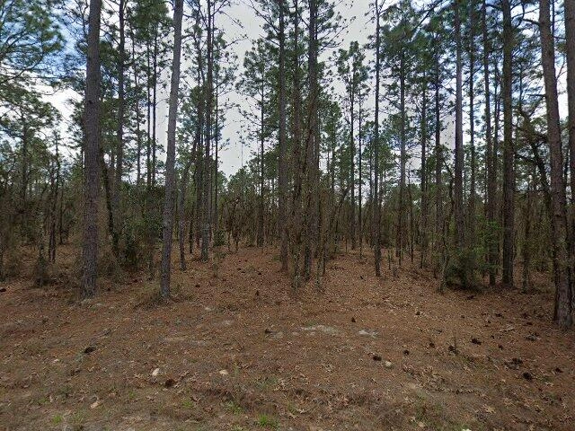 House image located at Dunnellon, FL 34432