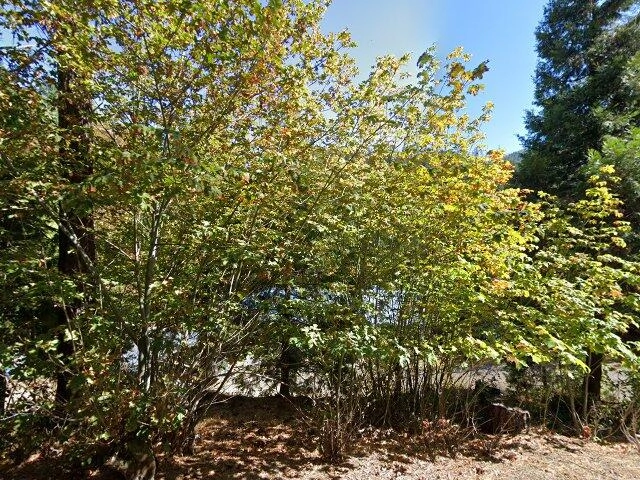 House image located at Wolf Creek, OR 97497