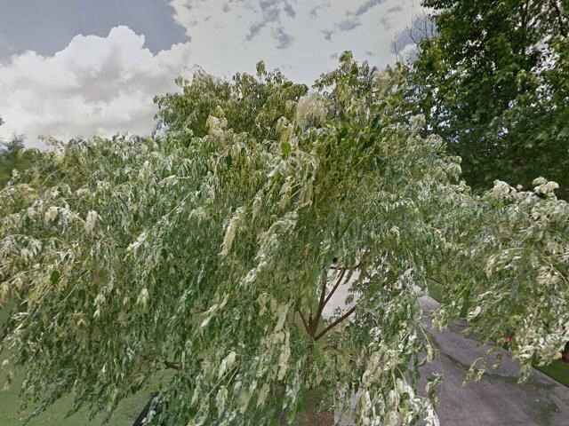 House image located at Shallotte, NC 28470