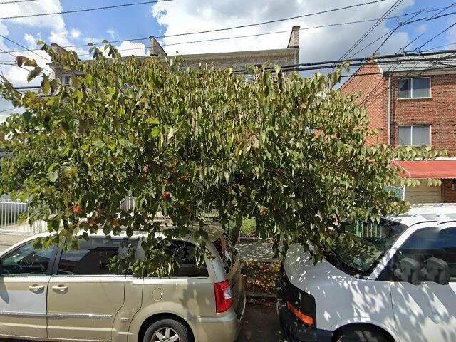 House image located at Ozone Park, NY 11416