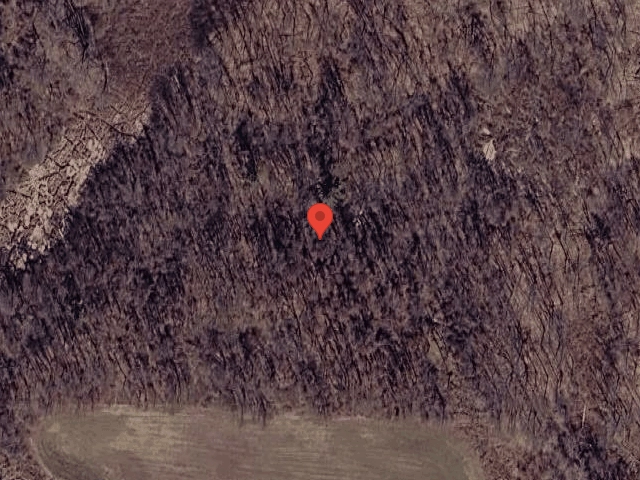 House image located at Pioneer, CA 95666