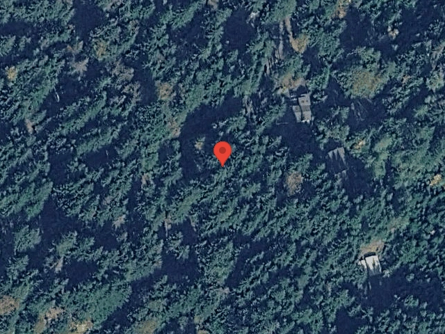 House image located at Hoodsport, WA 98548