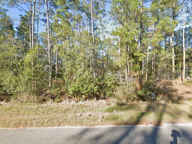 House image located at Hastings, FL 32145