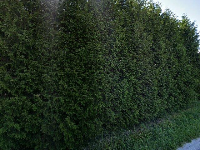 House image located at Shelby, OH 44875