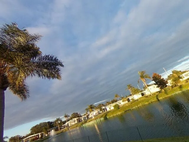 House image located at Dunedin, FL 34698