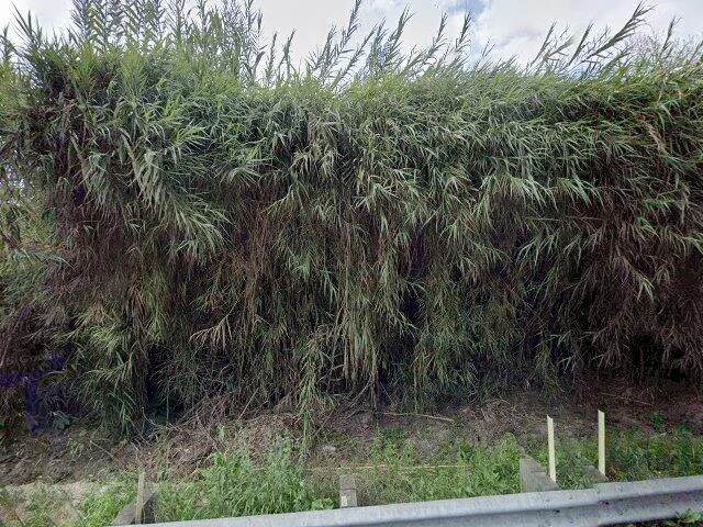 House image located at La Habra, CA 90631