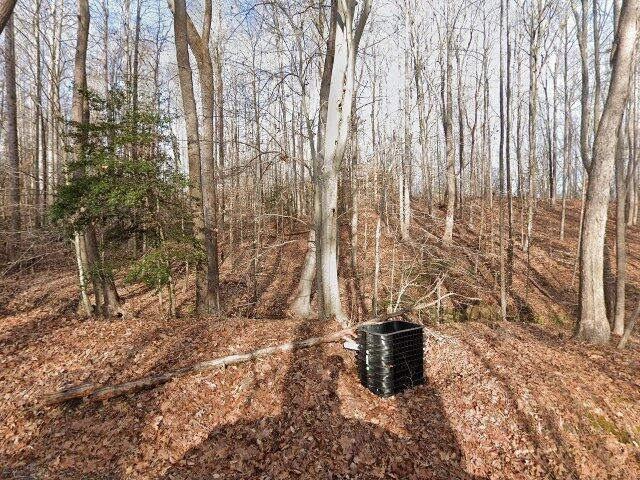 House image located at Ruther Glen, VA 22546