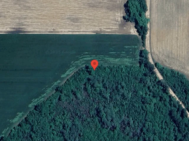 House image located at Cottondale, FL 32431