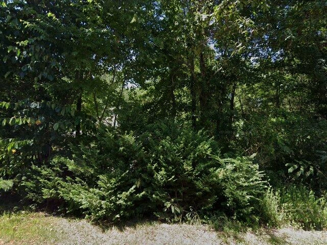 House image located at Guntersville, AL 35976