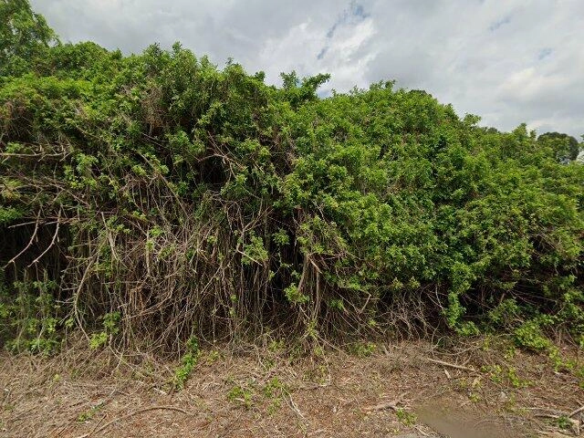 House image located at Port Charlotte, FL 33952