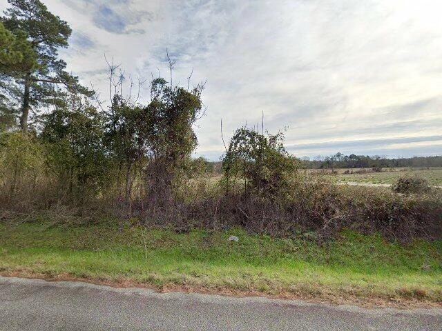 House image located at Whigham, GA 39897
