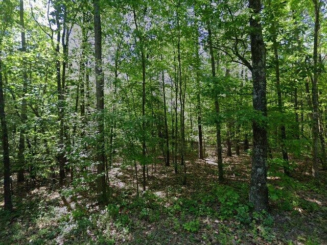 House image located at Irmo, SC 29063