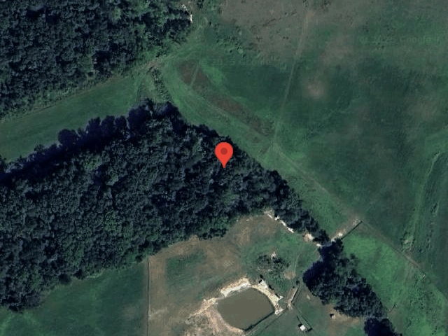 House image located at Mosheim, TN 37818