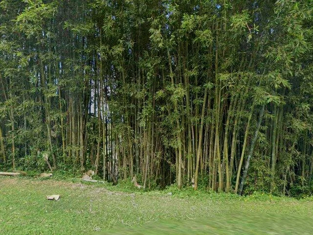 House image located at Hawi, HI 96719