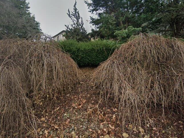 House image located at Reading, PA 19610