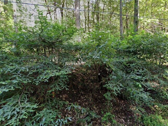 House image located at Guerneville, CA 95446