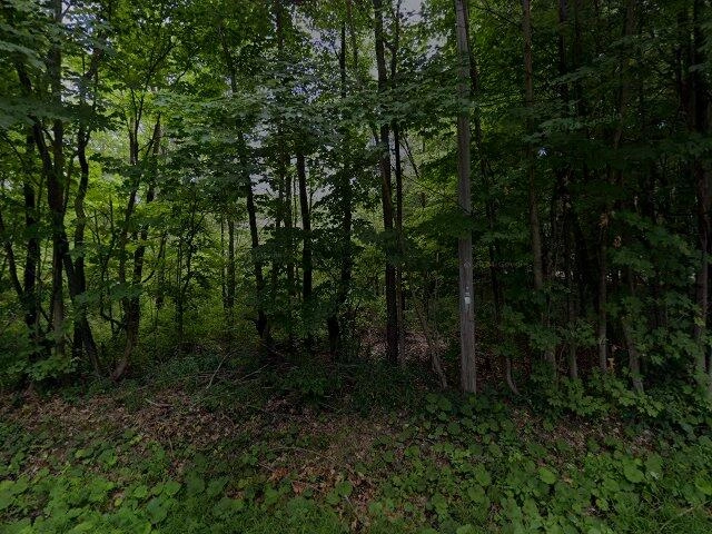 House image located at Deerfield, OH 44411
