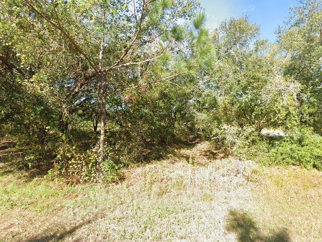 House image located at Kissimmee, FL 34759