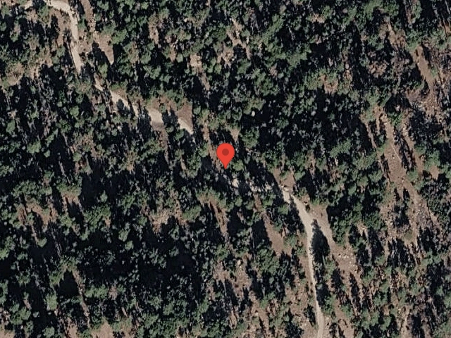 House image located at Shipman, VA 22971