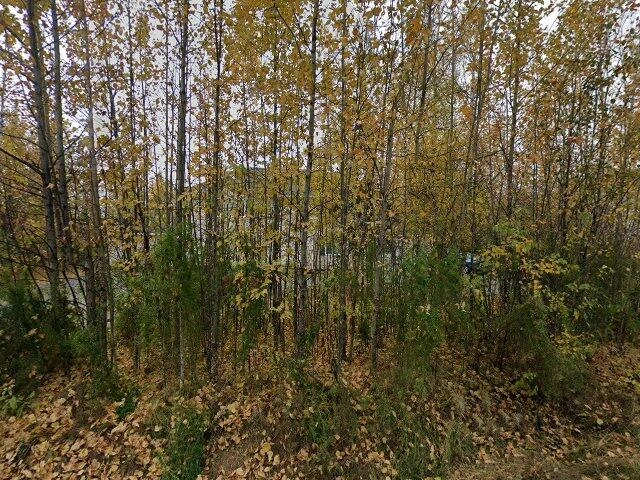 House image located at Wasilla, AK 99654