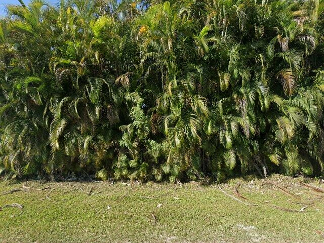 House image located at Miami, FL 33187