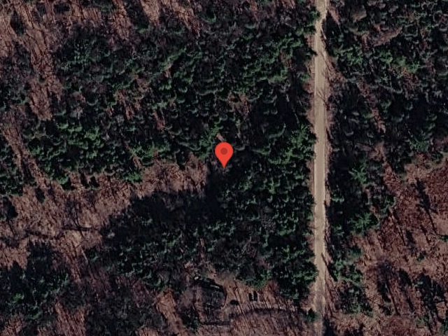 House image located at Morley, MI 49336